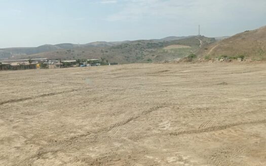 Terreno 1ha Corredor 2000