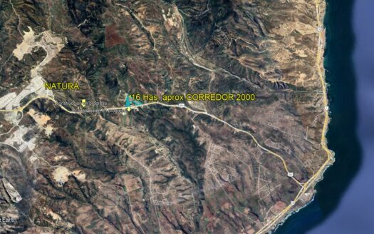 Terreno 16 Has. Corredor 2000